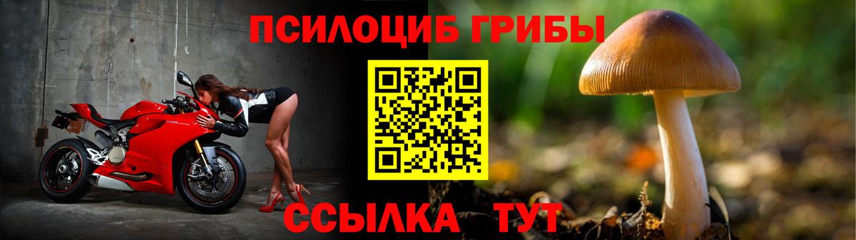 Галлюциногенные грибы Psilocybine cubensis  Вход с VPN  Шахты 